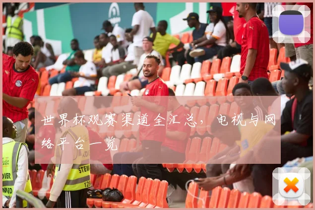 世界杯观赛渠道全汇总，电视与网络平台一览