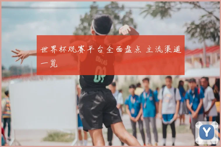 世界杯观赛平台全面盘点 主流渠道一览