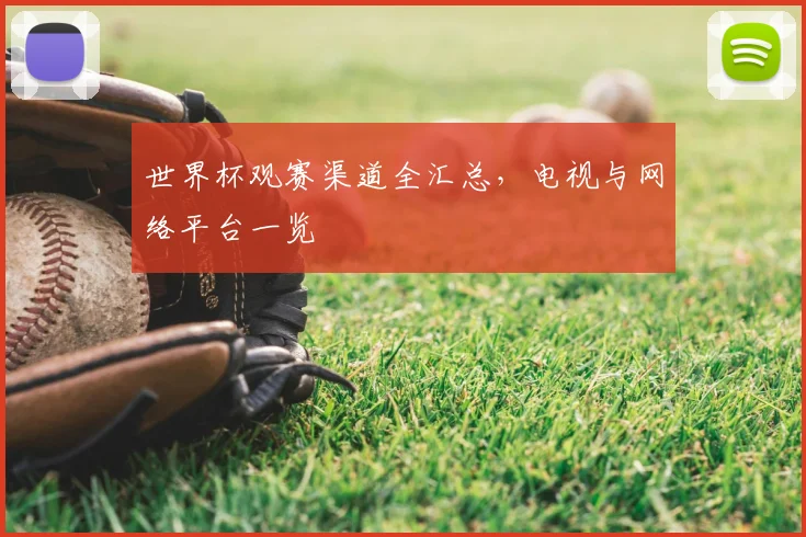 世界杯观赛渠道全汇总,电视与网络平台一览