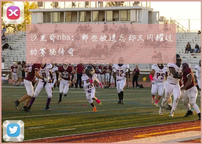 沙里奇nba：那些被遗忘却又闪耀过的赛场传奇