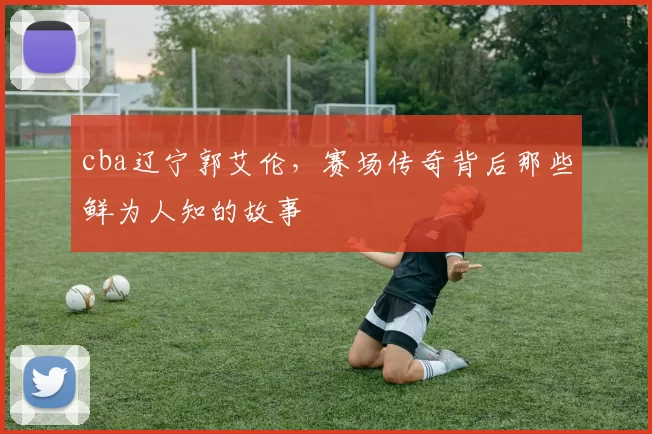 cba辽宁郭艾伦,赛场传奇背后那些鲜为人知的故事