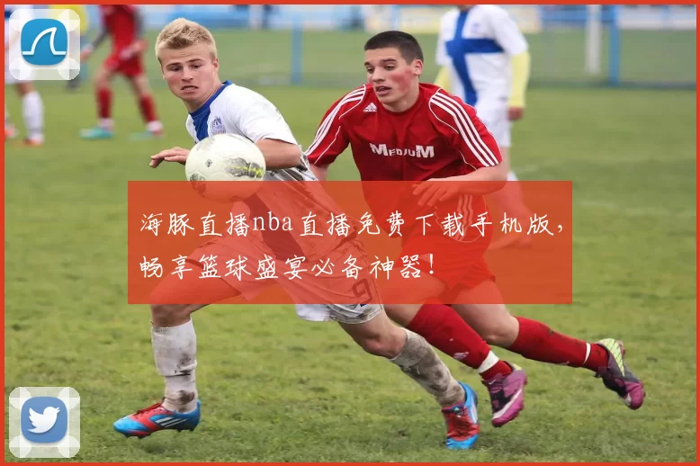 海豚直播nba直播免费下载手机版，畅享篮球盛宴必备神器！