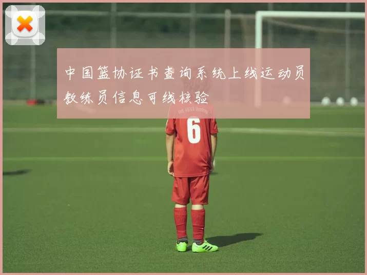 中国篮协证书查询系统上线运动员教练员信息可线核验