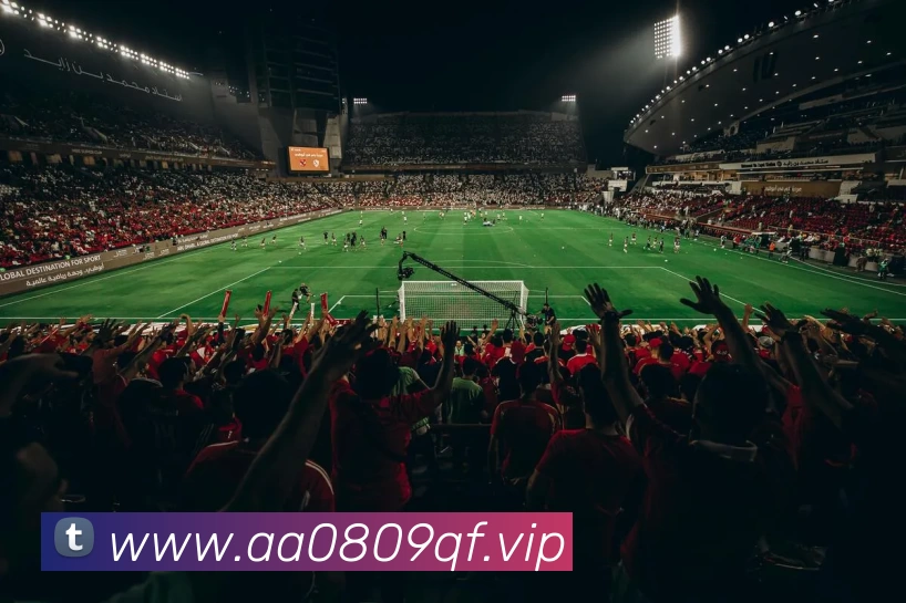 石宇奇巴黎奥运会回放完整版出炉 决胜细节引关注