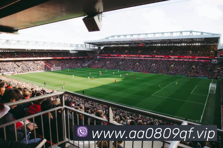 mksports官网全站App